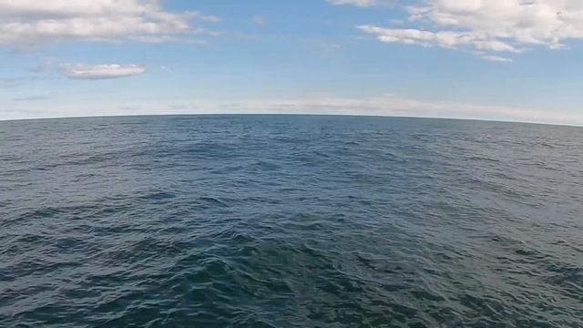 Байкал-Аляска: Киты ЧУКОТКА смотреть онлайн