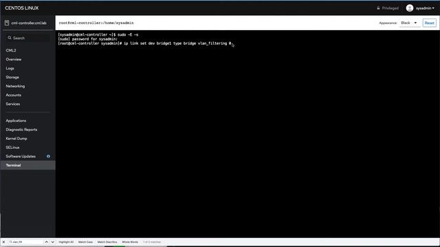 Trunking to Cisco Modeling Labs Virtual Nodes смотреть онлайн