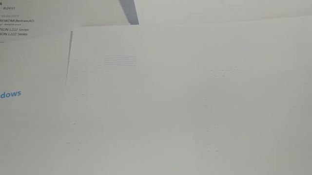 Не дай ему засохнуть! \ Что делать если струйный принтер не печатает, засох на примере Epson L222 смотреть онлайн