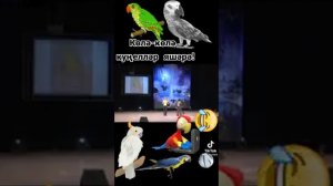 Мунча ташы////2021