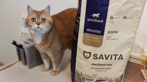 Основной корм для Тоши. Российский корм для кошек холистик класса SAVITA. Видеообзор