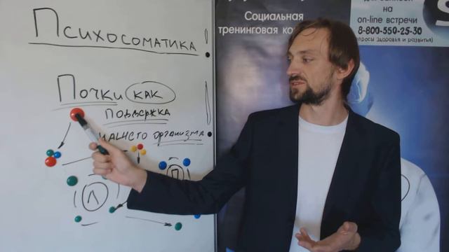 Видео Журнал "Si" ПРО ЗДОРОВЬЕ "Почки как поддержка нашего организма." смотреть онлайн