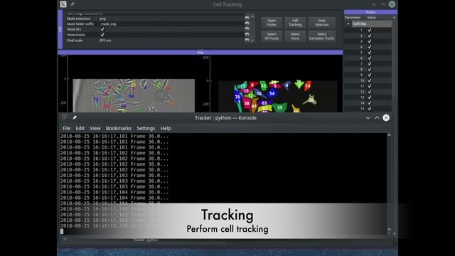 Usiigaci: Instance-aware cell tracking in phase contrast microscopy смотреть онлайн