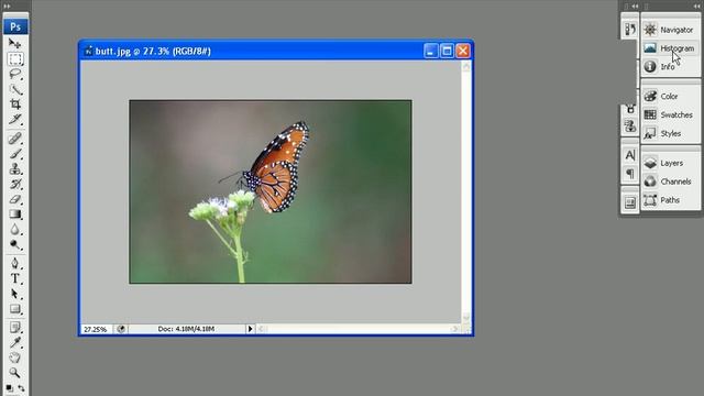 01. Photoshop CS3 - Introduction to the Workspace (සිංහලෙන්) смотреть онлайн