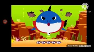 Акулёнок Хэллоуин @HYBELABELS