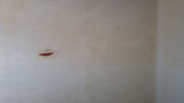 Удача! Как выгодно купить дом в Краснодарском крае. смотреть онлайн