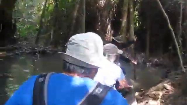 Mekong Delta Tour Hr Rudi u Fr Marion Martin im Maerz 8 смотреть онлайн