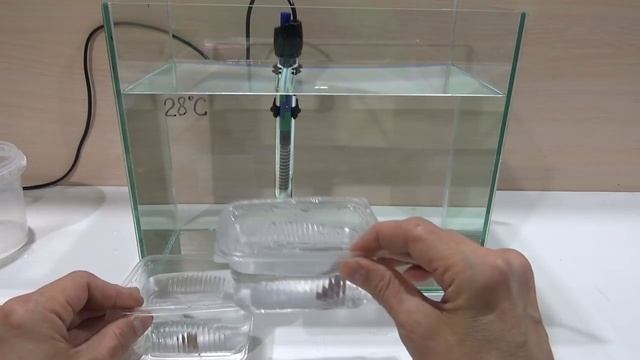 Особенности разведения рыбок петушков (Betta splendens) PT. 1? смотреть онлайн