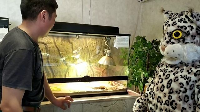 Обитатели террариума.