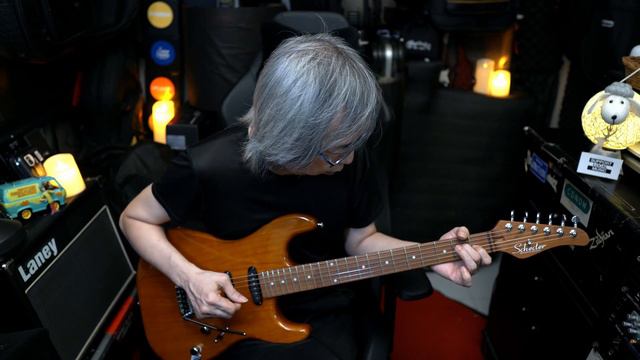 Schecter Van Nuys Traditional смотреть онлайн