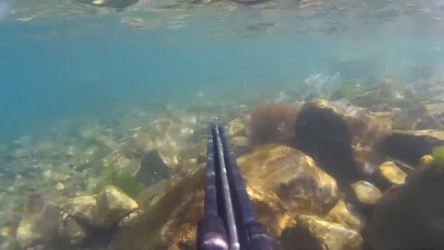Подводная охота в Приморском крае на пеленгаса и кефаль 23.06.17г. смотреть онлайн