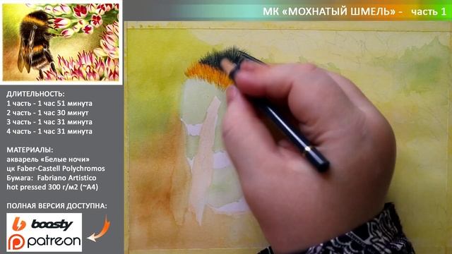 Рисунок в смешанной технике ? АКВАРЕЛЬ и ЦВЕТНЫЕ КАРАНДАШИ ?Советы и Таймлапс смотреть онлайн