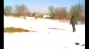 Заездка разных лошадей в сани