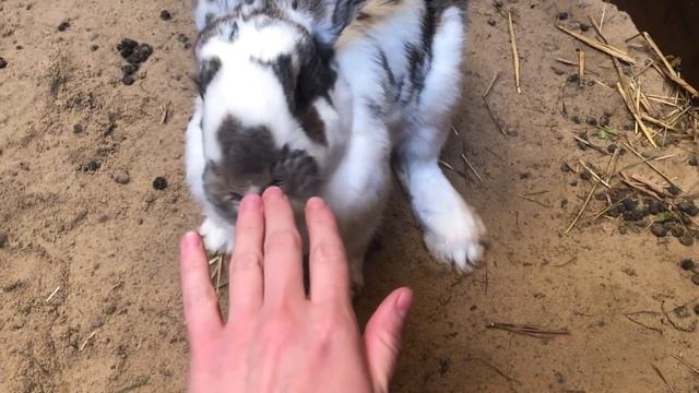 НАС ЗАВАЛИЛИ ПОДАРКАМИ! ОСТАВИЛИ ХОЗЯЙСТВО И УЕХАЛИ В ГОСТИ! ЖИЗНЬ В ДЕРЕВНЕ! ИЗ ГОРОДА В ДЕРЕВНЮ! смотреть онлайн