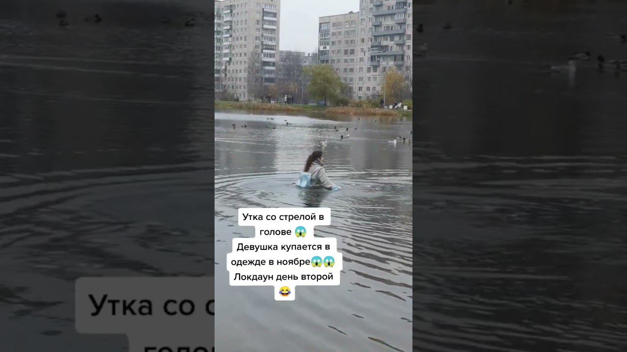 в пруд в пальто смотреть онлайн