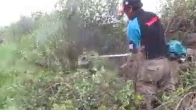 desbrozadoras makita смотреть онлайн