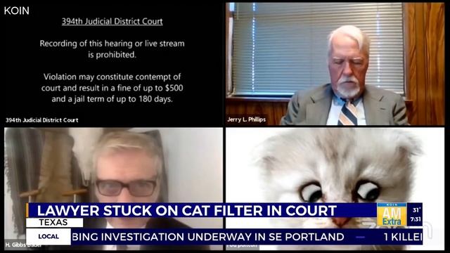 Texas lawyer: 'I am not a cat' смотреть онлайн