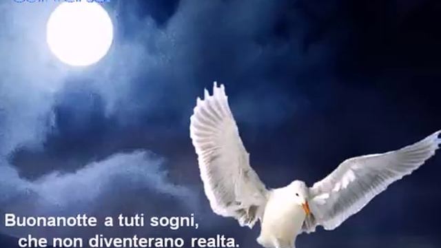 Il-silenzio-ennio-morricone-con-nini-rosso-buonanote-amore_(VIDEOMIN.NET).mp4