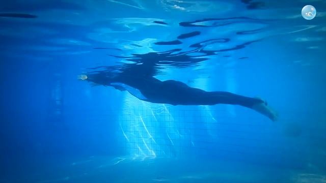 Когда плыву на глубине - возникает чувство Паники! Как от нее избавиться?! смотреть онлайн