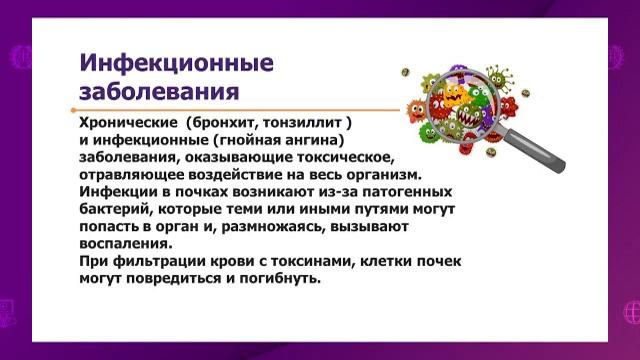 Биология. 9 класс. Факторы, влияющие на работу почек: рацион питания, переохлаждение смотреть онлайн