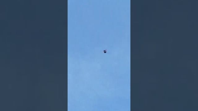 В небе только красные и желтые бакинские голуби! смотреть онлайн