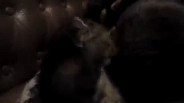 СУперский кот моет своего хозяина!!!! смотреть онлайн