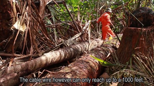 Brunei Darussalam - The Kingdom of Disappearing Treasures (A documentary: Ambuyat) смотреть онлайн
