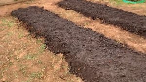 Готовлю грядки термос . Огород под пленкой.