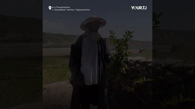 Житель Темурмалика посадил деревья на холме и каждый день пешком приносит туда воду смотреть онлайн