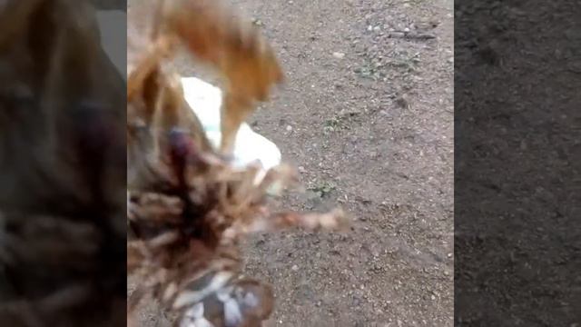 Ловила рыбу- а вытащила РАКА 😲😲😲