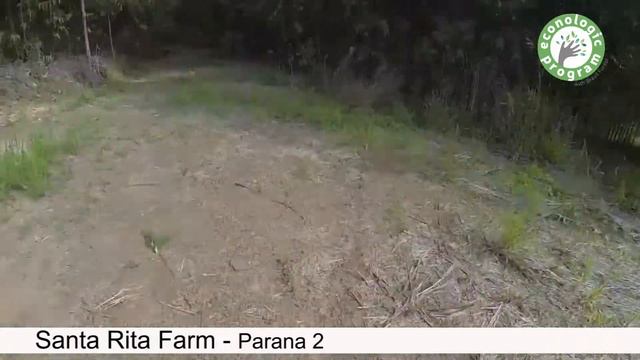 Brazil Forest (Groupe SLB) - Santa Rita farm [ENG] смотреть онлайн