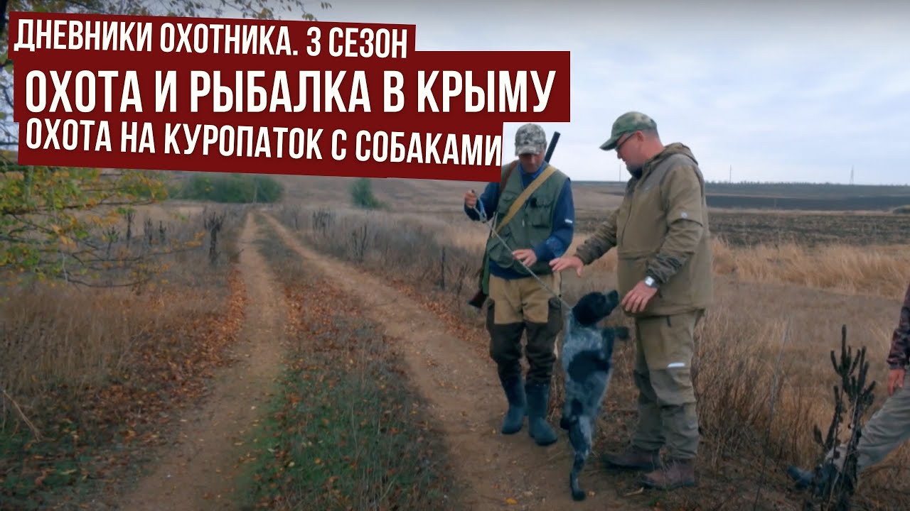 ОХОТА и РЫБАЛКА в КРЫМУ \ Охота на куропаток с собаками в Крыму \ Дневники охотника #3 \ #6 смотреть онлайн
