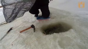 Янтарь разведка добыча кустарным способом зимой