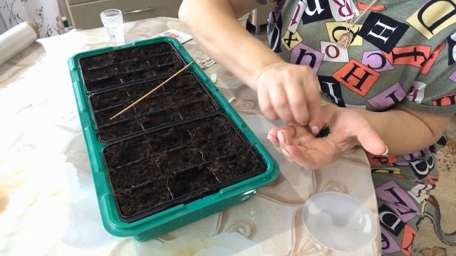 Выращивание лука батун Через рассаду Шикарный лук в первый год