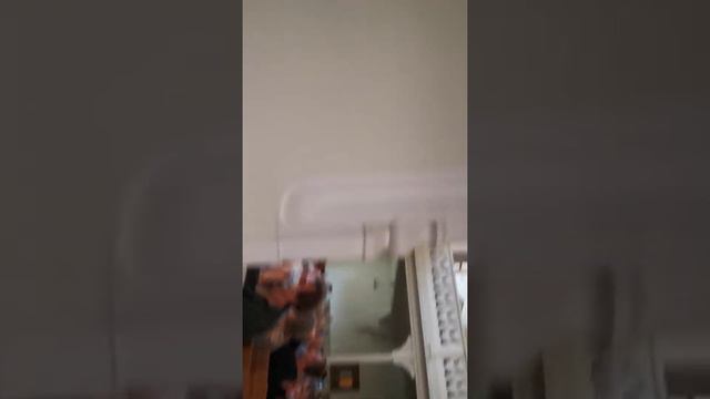 Легенды Ирландии и Шотландии. Шотландские волынки, орган и барабаны 22.08.2020 - 1