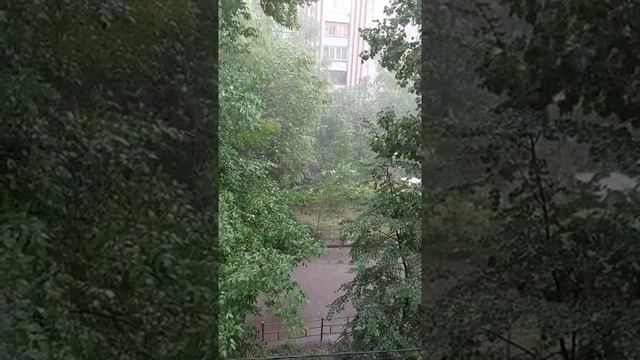 24 июня 2021. Ливень с градом в Самаре ? 34С° Безымянка. Голубь под дождём)) ? смотреть онлайн