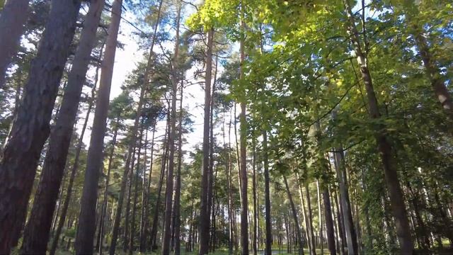 Park in Riga Mežaparks (Rīga) Межапарк Рига Латвия смотреть онлайн