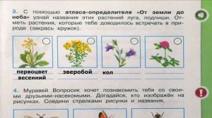 Окружающий мир. Рабочая тетрадь 4 класс 1 часть. ГДЗ стр. 71 №3