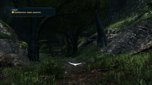 FarCry 3 #1 | Начало | Уровень сложности : Чемпион | 2K| 2022 | 14+ смотреть онлайн