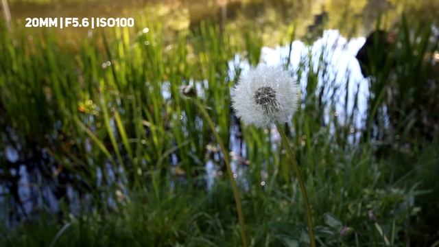 ЛУЧШИЙ ШИРИК Sigma 10-20mm F/4-5.6 Полный Обзор