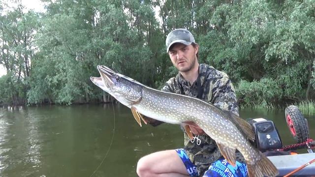 Не клевало И ТУТ ВВАЛИЛАСЬ СЕРЬЕЗНАЯ ТОРПЕДА!!!Крупная щука!Рыбалка 2019,малая река.trofi fishing смотреть онлайн