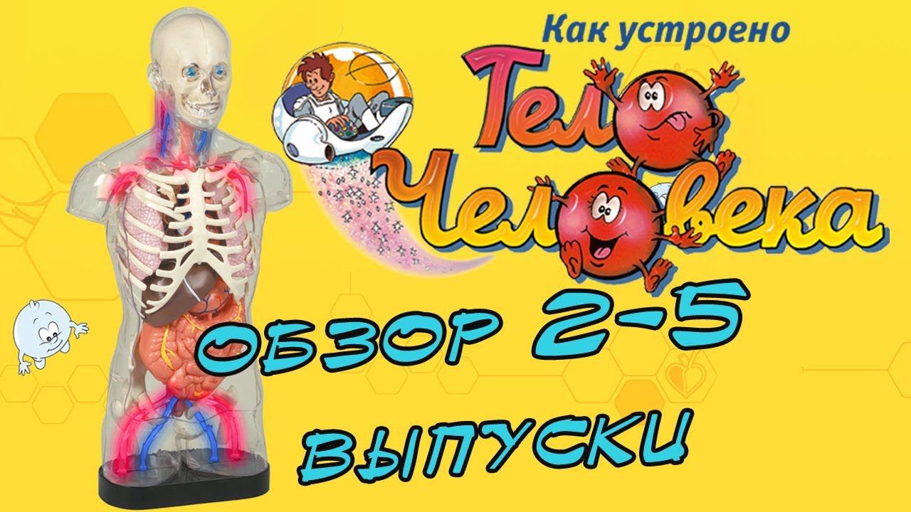Как устроено тело человека. DeAgostini | 2-5 выпуски смотреть онлайн