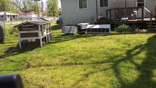 SPRING GARDEN PROJECT CHALLENGE 2021 смотреть онлайн