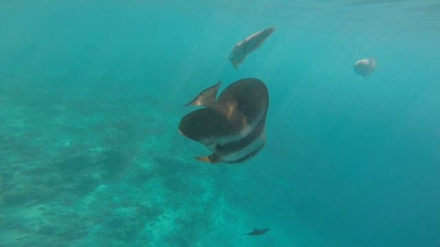 желтая лодка смотреть онлайн