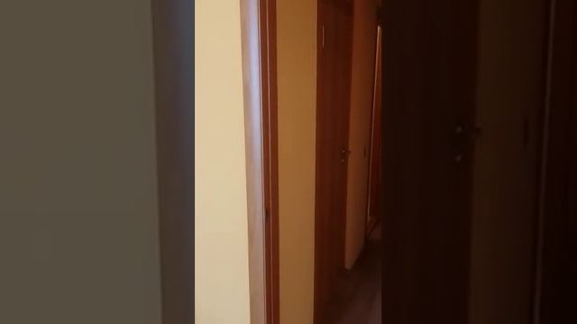 Двери Одинцово С6 (миланский орех) смотреть онлайн