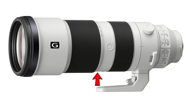 Sony 100-400 GM vs 200-600 G (3 weeks in Ecuador) смотреть онлайн