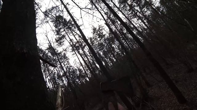 Живу в Чернобыле месяц. Построили домик на дереве в Зоне Отчуждения. Делаем сталкерскую базу