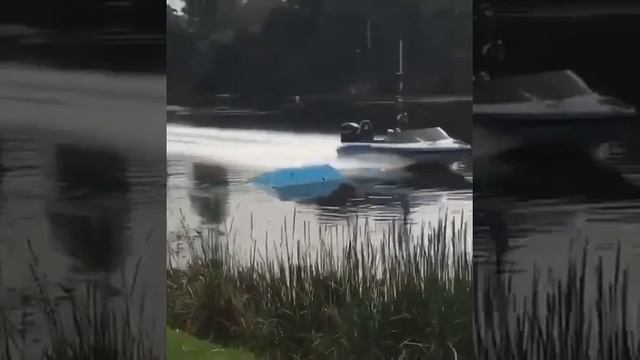 Плавание на доске ?? смотреть онлайн