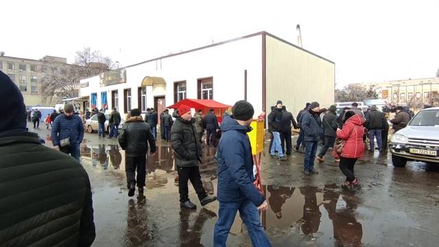 Выставка голубей-Славянск 06.03.2021.г.#Цветные голуби смотреть онлайн