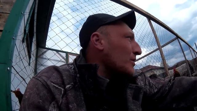 посадили огород и зелень поросятам смотреть онлайн